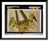 Circus stock poster showing four people looking up at three green demons on pedestal removing cover from bouquet of roses.Warren, Johnson & Co., designers, engravers, and printers, Buffalo. - 2 H