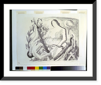 Uprooted stalk.Prentiss Taylor. - 2, Historic Print
