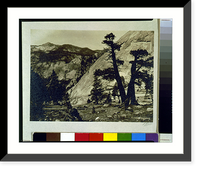 Sierra junipers, Upper Merced Basin, Yosemite Valley - 2, Antique Wall Art