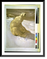 A polar bear seated on snow and another polar bear walking in background.Carl Ederer. - 2, Vintage Poster