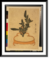 Haran rikkazu, Historic Reproduction