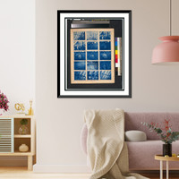 Historic Framed Print, The evolution of the cereus,  17-7/8" x 21-7/8"