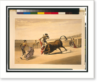 The leap or salta tras cuernos.Lake Price, Antique Print