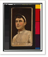 Historic Framed Print, Brown Backgrounds (T207) - 10,  17-7/8" x 21-7/8"