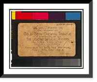 Buchner Gold Coin (N284) - 10, Historic Print