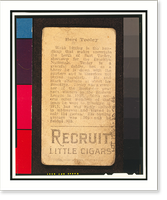 Brown Backgrounds (T207) - 23, Antique Print