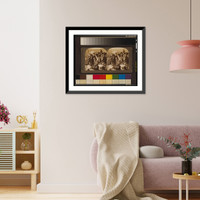Historic Framed Print, In the domain of King Cotton, near Dallas, Texas - 2,  17-7/8" x 21-7/8"