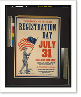 Territory of Hawaii registration day July 31 - 3, Antique Print