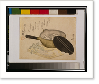 Shirauo Classic, Antique Print