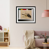 Shirauo Classic, Antique Print