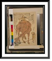 Historic Framed Print, Rakuda no zu - 3,  17-7/8" x 21-7/8"