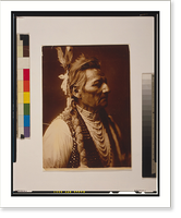 PioPio-Maksmaks, Profile. Wallawalla - 2, Antique Print