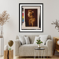 Black Eagle. profile - 2, Antique Print