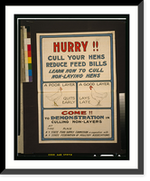 Hurry!! Cull your hens, reduce feed bills Classic, Vintage Poster