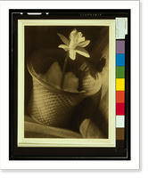 Design.Bernard S. Horne, Antique Poster