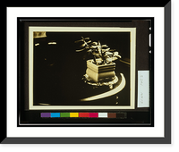 Historic Framed Print, [Potted jade plant],  17-7/8" x 21-7/8"