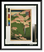 Yamato yoshinoyama Classic, Historic Reproduction