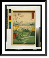 Kai outsuki no hara, Antique Wall Art