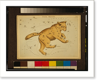 Ursa Major.Sidy. Hall, sculpt. Classic, Vintage Wall Art