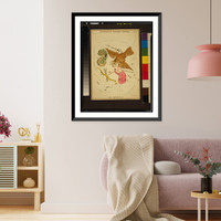Delphinus, Sagitta, Aquila, and Antinous.Sidy. Hall, sculpt. Classic, Vintage Poster