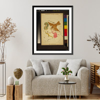Delphinus, Sagitta, Aquila, and Antinous.Sidy. Hall, sculpt. Classic, Vintage Poster
