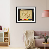 Lacerta, Cygnus, Lyra, Vulpecula and Anser.Sidy. Hall, sculpt, Antique Wall Art