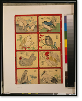 Historic Framed Print, [Various types of birds],  17-7/8" x 21-7/8"