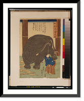 Historic Framed Print, Chu&#x0304;tenjiku hakurai o&#x0304;zo&#x0304; no zu,  17-7/8" x 21-7/8"