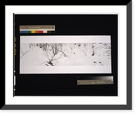 Third month twigs.Georgia Marsh 01. - 2, Antique Wall Art