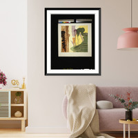 Tropic.Mazur, Antique Print