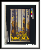 Historic Framed Print, Australia. The tallest trees in the British Empire, Marysville, Victoria.Trompf.,  17-7/8" x 21-7/8"