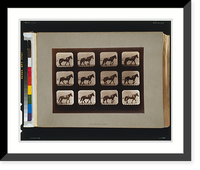 Historic Framed Print, Horses. Hauling - 3,  17-7/8" x 21-7/8"