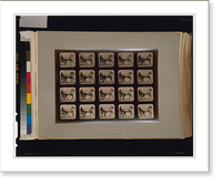 Historic Framed Print, Horses. Trotting,  17-7/8" x 21-7/8"