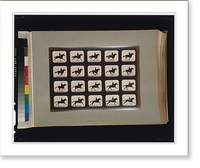 Horses. Running - 6, Historic Reproduction