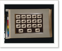 Historic Framed Print, Horses. Running - 7,  17-7/8" x 21-7/8"