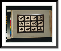 Historic Framed Print, Horses. Irregular - 10,  17-7/8" x 21-7/8"