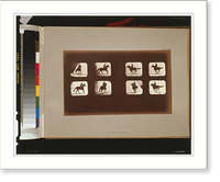 Historic Framed Print, Horses. Running - 21,  17-7/8" x 21-7/8"