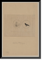 Historic Framed Print, [Japanese drawing] - 31,  17-7/8" x 21-7/8"