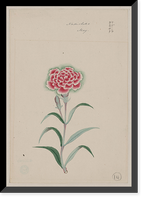 Historic Framed Print, [Japanese drawing] - 63,  17-7/8" x 21-7/8"