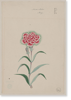 Historic Framed Print, [Japanese drawing] - 63,  17-7/8" x 21-7/8"