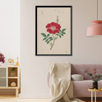 Japanese drawing - 65, Vintage Print