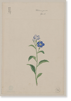 Historic Framed Print, [Japanese drawing] - 77,  17-7/8" x 21-7/8"