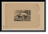 Historic Framed Print, [Japanese drawing] - 164,  17-7/8" x 21-7/8"