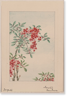 Historic Framed Print, [Japanese drawing] - 197,  17-7/8" x 21-7/8"