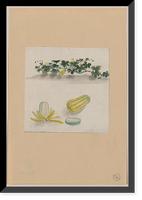 Historic Framed Print, [Japanese drawing] - 236,  17-7/8" x 21-7/8"