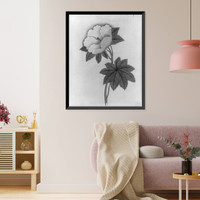 Historic Framed Print, [Japanese drawing] - 249,  17-7/8" x 21-7/8"