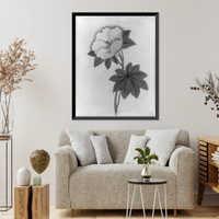 Historic Framed Print, [Japanese drawing] - 249,  17-7/8" x 21-7/8"