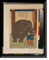 Historic Framed Print, Chutenjiku hakurai ozo no zu Translation:Big imported elephant from India.,  17-7/8" x 21-7/8"