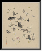 Japanese Ukiyo-e drawing - 48, Vintage Print