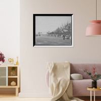 Historic Framed Print, Field day sports, Palm Beach, Fla.,  17-7/8" x 21-7/8"